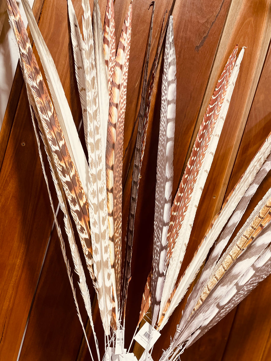 Assorted Paper Feather